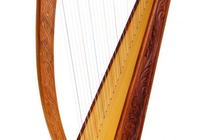 Harpe Conservatoire de Troyes